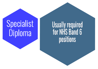 Specialist diploma5