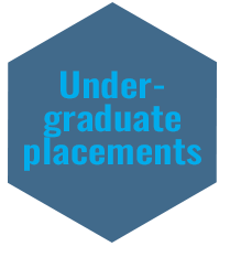 Undergraduate placements